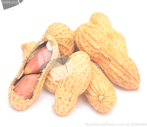 Image of peanuts