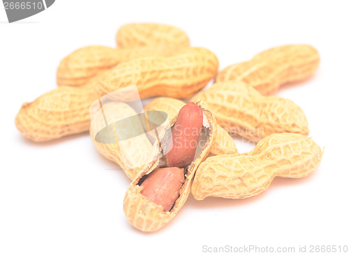 Image of peanuts