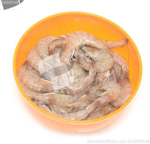 Image of raw shrimps