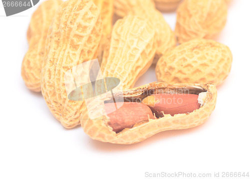 Image of peanuts