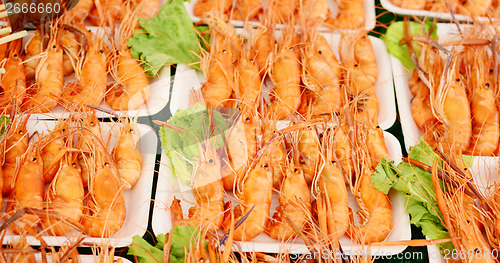 Image of shrimps