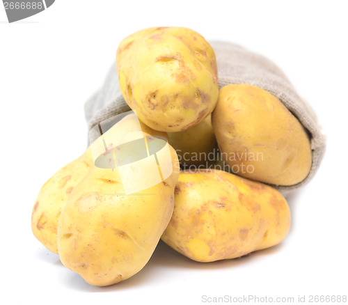 Image of potato