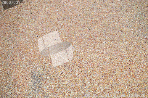 Image of wet sand 