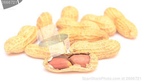 Image of peanuts