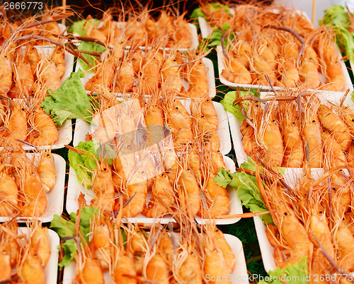 Image of shrimps