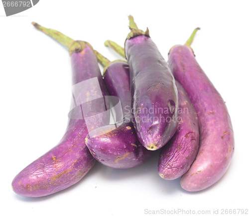 Image of eggplants