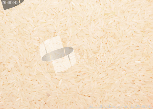 Image of rice background