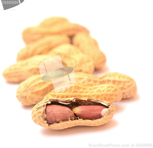 Image of peanuts