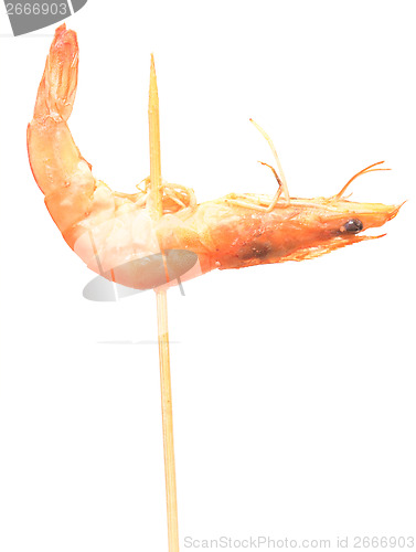 Image of shrimp