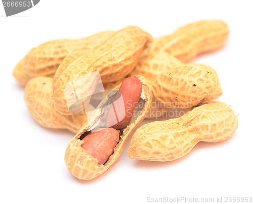 Image of peanuts