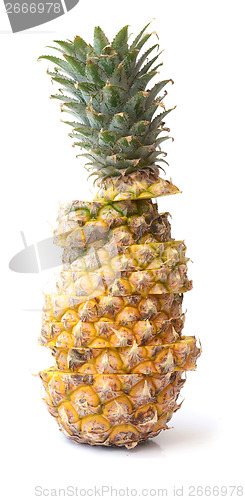 Image of pineapple