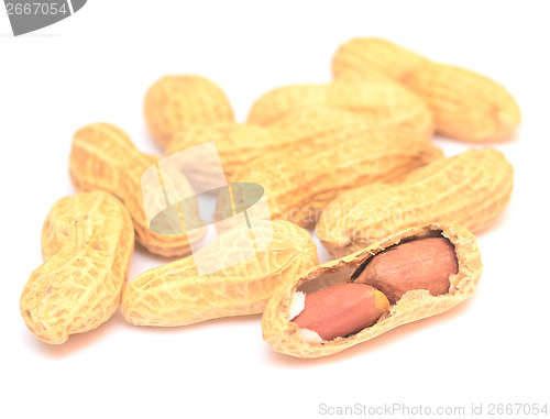 Image of peanuts