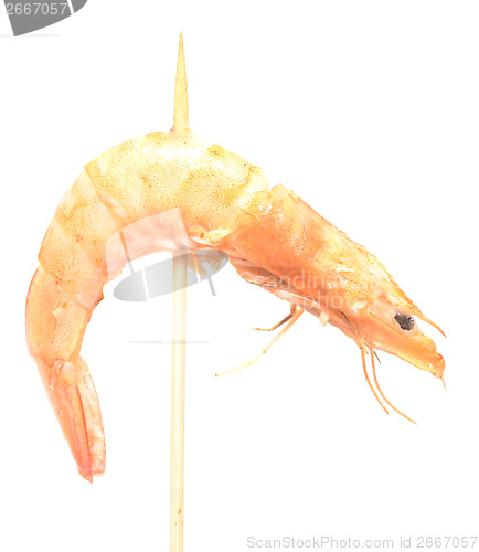 Image of grilled shrimp