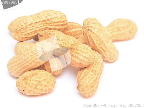 Image of peanuts