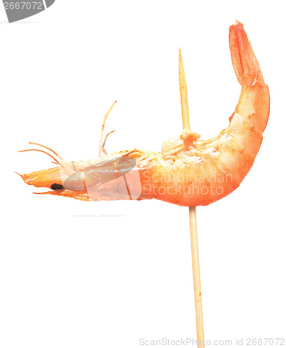 Image of shrimp