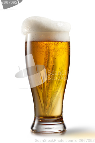 Image of Beer in glass and wheat inside isolated on white background