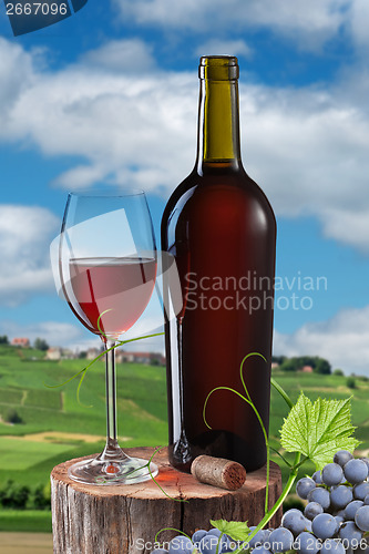 Image of Glass of red wine and bottle on stump isolated on white