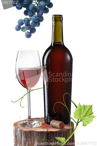 Image of Glass of red wine, bottle and grape on stump isolated on white