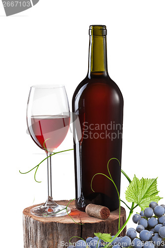 Image of Glass of red wine, bottle and grape on stump isolated on white