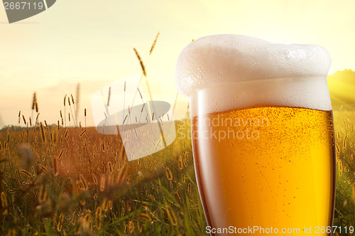 Image of Glass of beer against wheat field and sunset