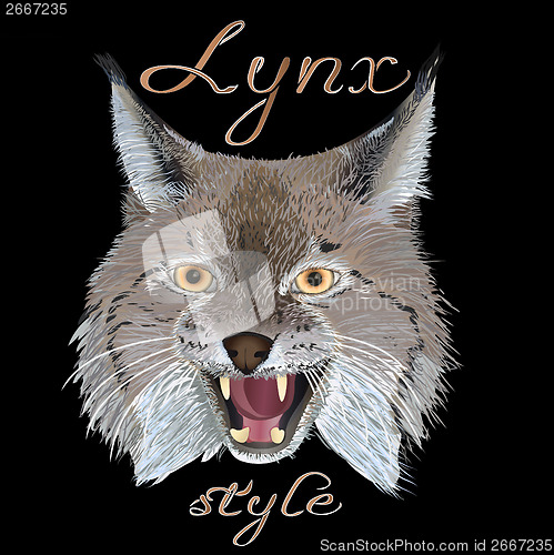Image of Lynx style