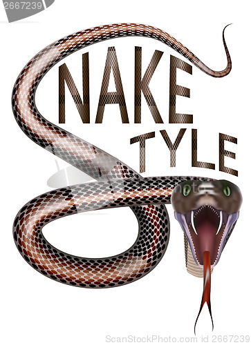 Image of Snake style