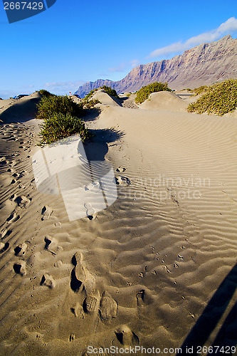 Image of abstract yellow dune beach  hil   mountain in the   lanzarote sp