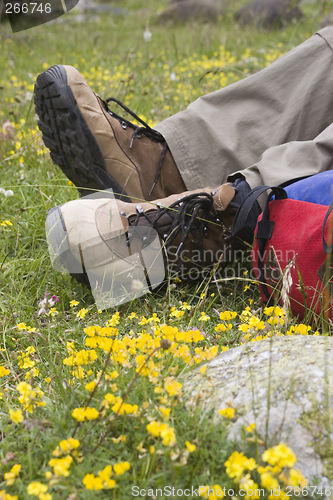 Image of Resting on a meadow