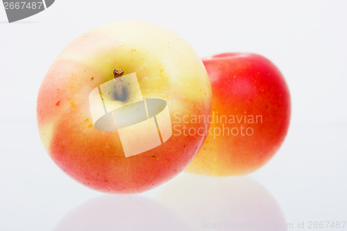 Image of two ripe red apples