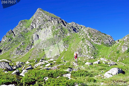 Image of Trekking in mountains