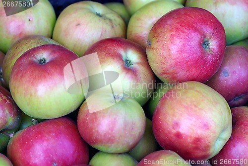 Image of Apple background