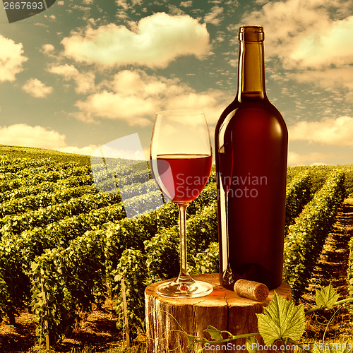 Image of Glass and bottle of red wine against vineyard landscape