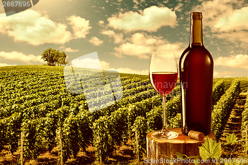 Image of Glass and bottle of red wine against vineyard landscape