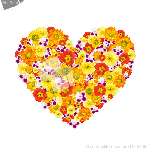 Image of heart of color flowers isolated on white