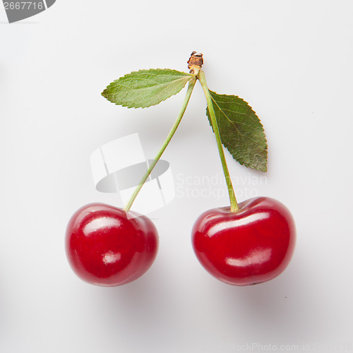 Image of Red cherry with leaves on white