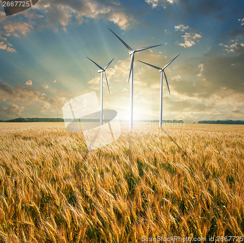 Image of Wind generators turbines on wheat field