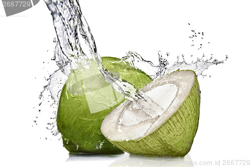 Image of splash of water on green coconut isolated on white
