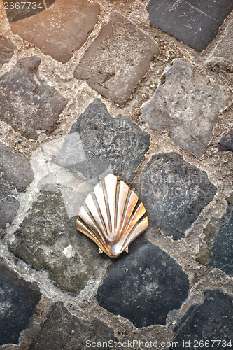 Image of Santiago shell (Pilgrims shell), St James shell in Brussels, Bel