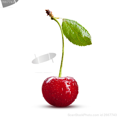 Image of Red cherry with leaves isolated on white