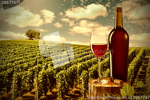 Image of Glass and bottle of red wine against vineyard landscape