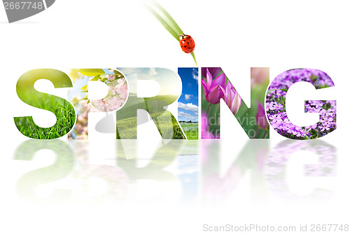 Image of Spring word collage made of different photos isolated on white