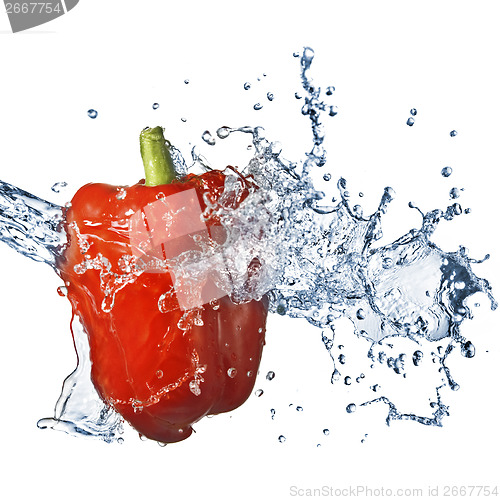 Image of fresh water splash on red pepper isolated on white