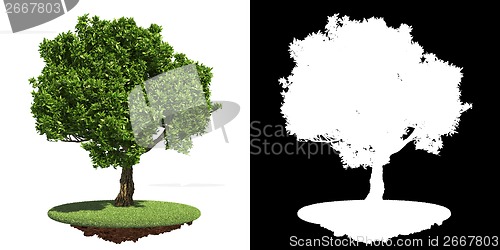 Image of Lush Green Tree Isolated on White Background.