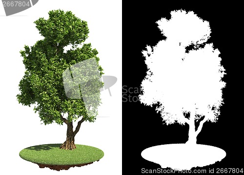 Image of Green Tree with Detail Raster Mask.