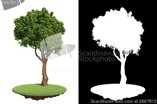 Image of Green Tree with Detail Raster Mask.