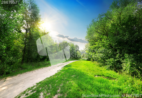 Image of Country road into forest