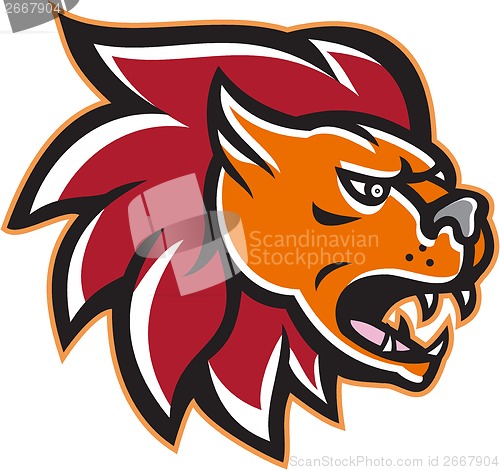 Image of Angry Lion Big Cat Head Side