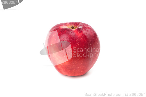 Image of Ripe red apple