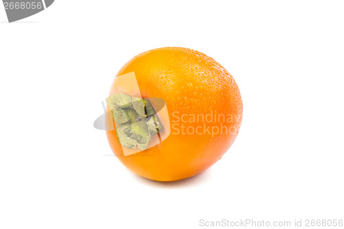 Image of Persimmon fruit with water drops