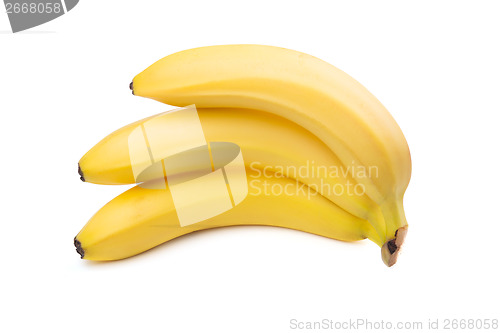 Image of Close-up of three yellow bananas